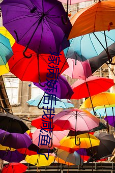 嫁(jià)病娇后我咸鱼了(le)