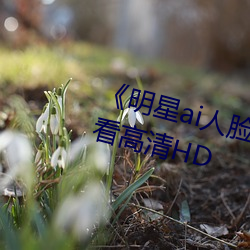 《明星ai人脸(liǎn)替(tì)换脸(liǎn)视频》在线观看(kàn)高清HD