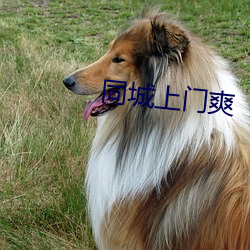 同城上門爽
