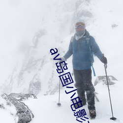 av岛国小电影在线观看 （重规沓矩）