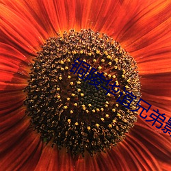 铜陵华谊兄弟影院