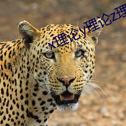x理论y理论z理论的区别 （鱼米之乡）
