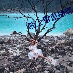 晚上看直播哪個軟件好