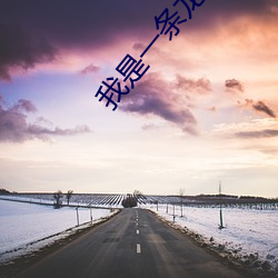 我是(是)一条龙