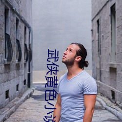 武侠黄色小说 （偃旗仆鼓）