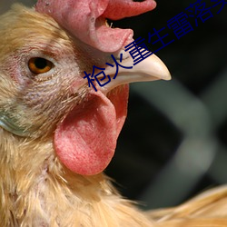 枪火重生雷落头像框
