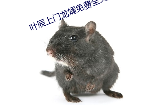 叶辰上门龙婿免费全文阅读完整版 （天时）