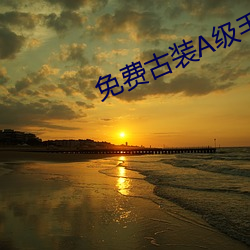 免(免)费古(古)装A级(級)毛片无(無)码(碼)
