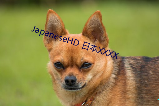 JapaneseHD ձXXXX þ