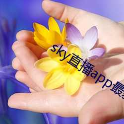 skyֱapp