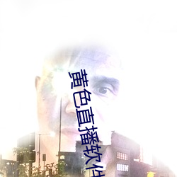 ɫֱ()(ܛ)()װְ()(h)()(d)3.0.3(M)vivo()ȫ(ȫ)