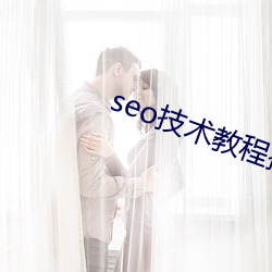 seo技术教程搜索(suǒ)引擎优化