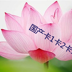 国产卡1卡2卡三卡乱码网站 （一斑半点）