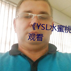 《YSL水蜜桃86》高清不卡在线观看