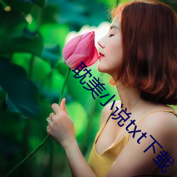 耽(dān)美(měi)小说txt下(xià)载(zài)