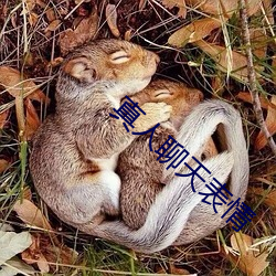 金年会 | 诚信至上金字招牌