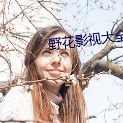 野花影视大全在线观看免费 （声东击西）