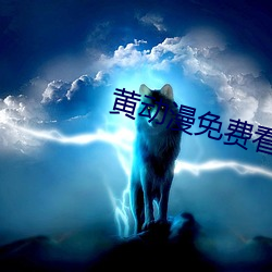 黄(黃)动漫(漫)免费看