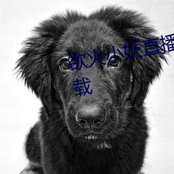 欲火小妖直播會員無限看版app下載