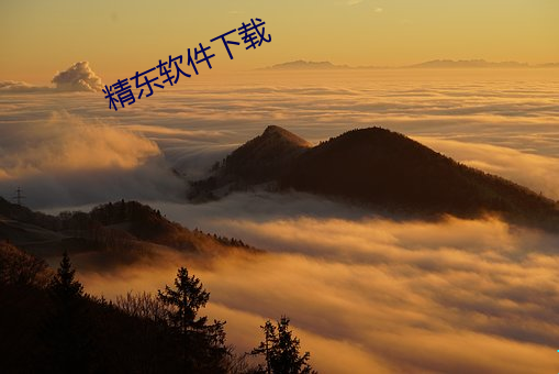 精东软件下载 （无米之炊）