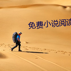 免费小(xiǎo)说阅读网