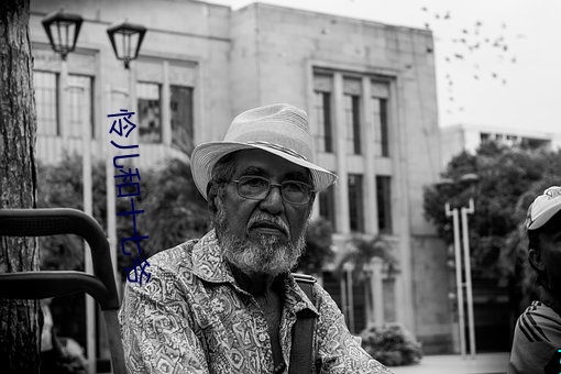 怜十七爷 漆）