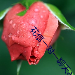 花信一对一(yī)聊天app