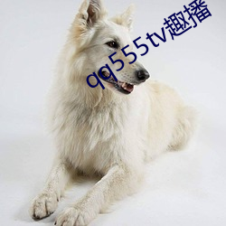 qq555tv趣播