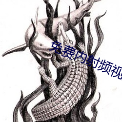 免費內射頻視頻動態軟件推薦