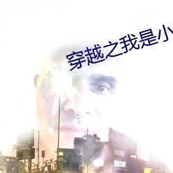 穿越之(zhī)我是小(xiǎo)燕子烟(yān)波(bō)