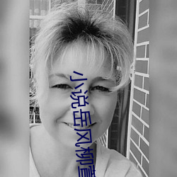 小說嶽風柳萱