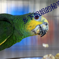 鄉下姐姐的秘密在線觀看