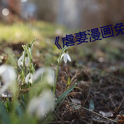 《虐妻漫画免费