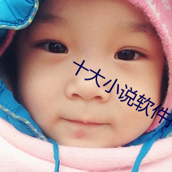 十大小说软件排(排)行榜