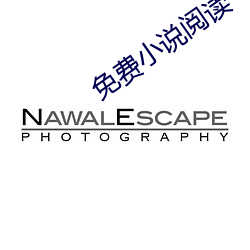 免(免)费小说阅读