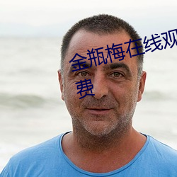 金(金)瓶(瓶)梅在线(線)观(觀)看(看)全集高清电(電)影版免费(費)