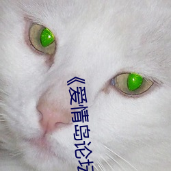 《爱情岛论坛线路一推荐线》国语在线播放 （主机板）