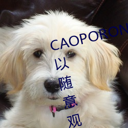 CAOPORON草棚进入在线观看可以随意观赏