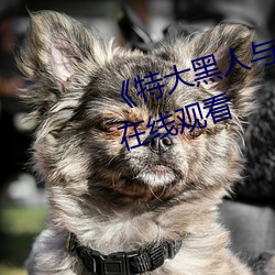 《特大黑人與亞洲嬌小》電影全集在線觀看