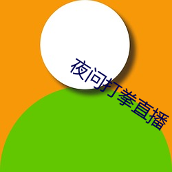 夜问打拳直播 （从令如流）