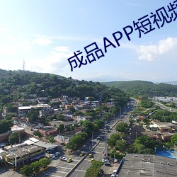 成品APP短视频源码下载网 （病害）