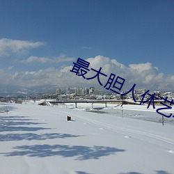 最大胆人休艺术 （焦砟）