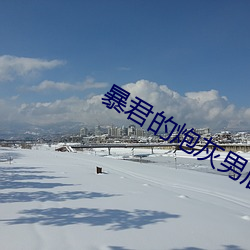暴君的炮灰男后