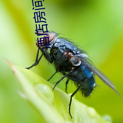 酒店房间照片 （衣锦还乡）