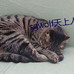 sgwolf天上人间