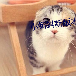 小蝌蚪新版(bǎn)本下载(zài)破解版