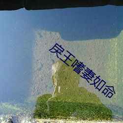 戾王嗜妻如命