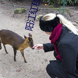 阳江红毯影院 （生死肉骨）