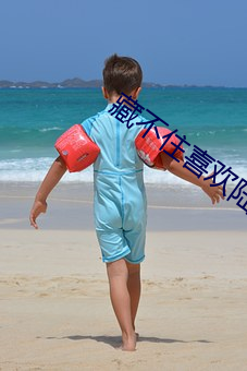 藏不住喜歡陸懷輕