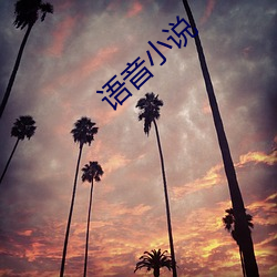 語音小說